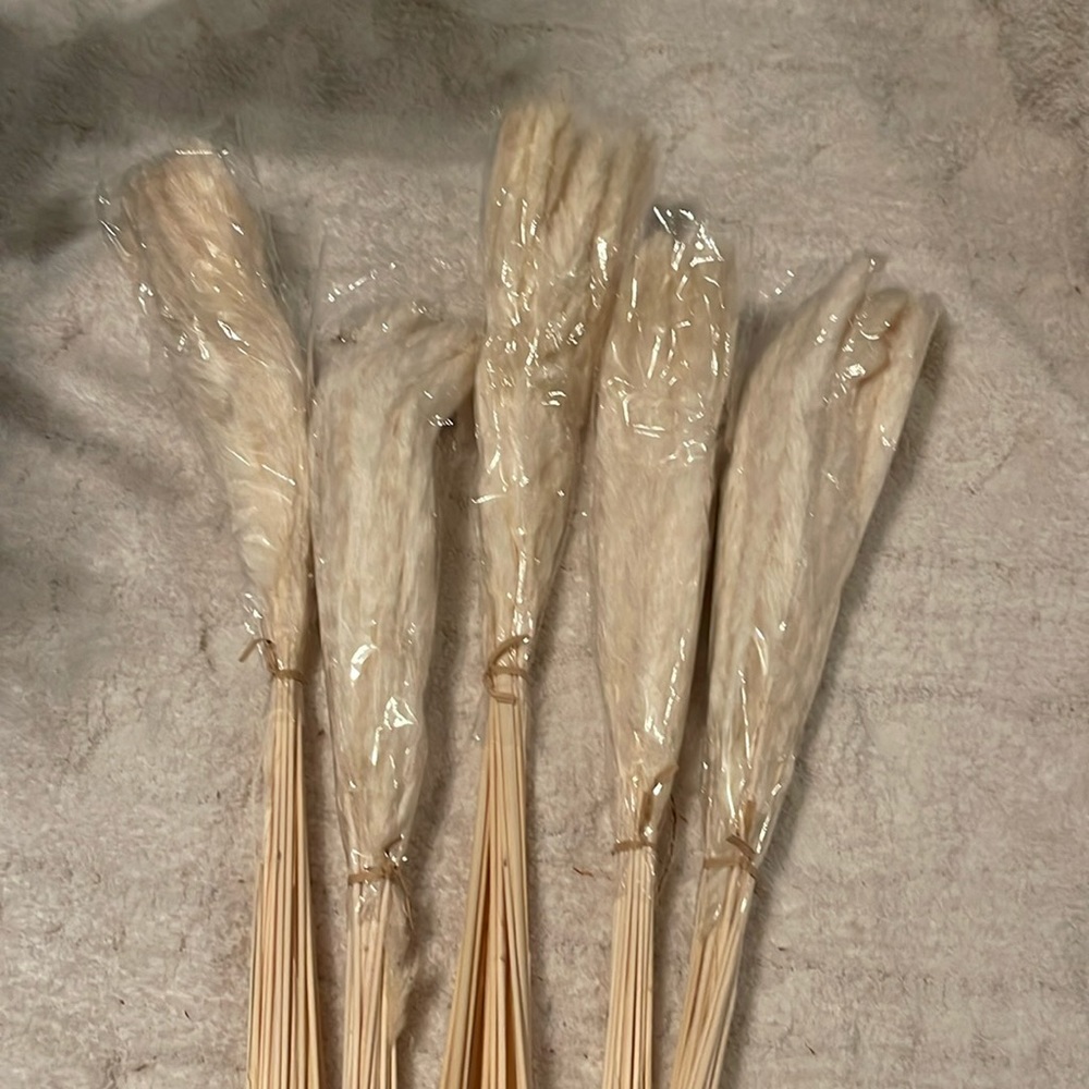 New pampas grass